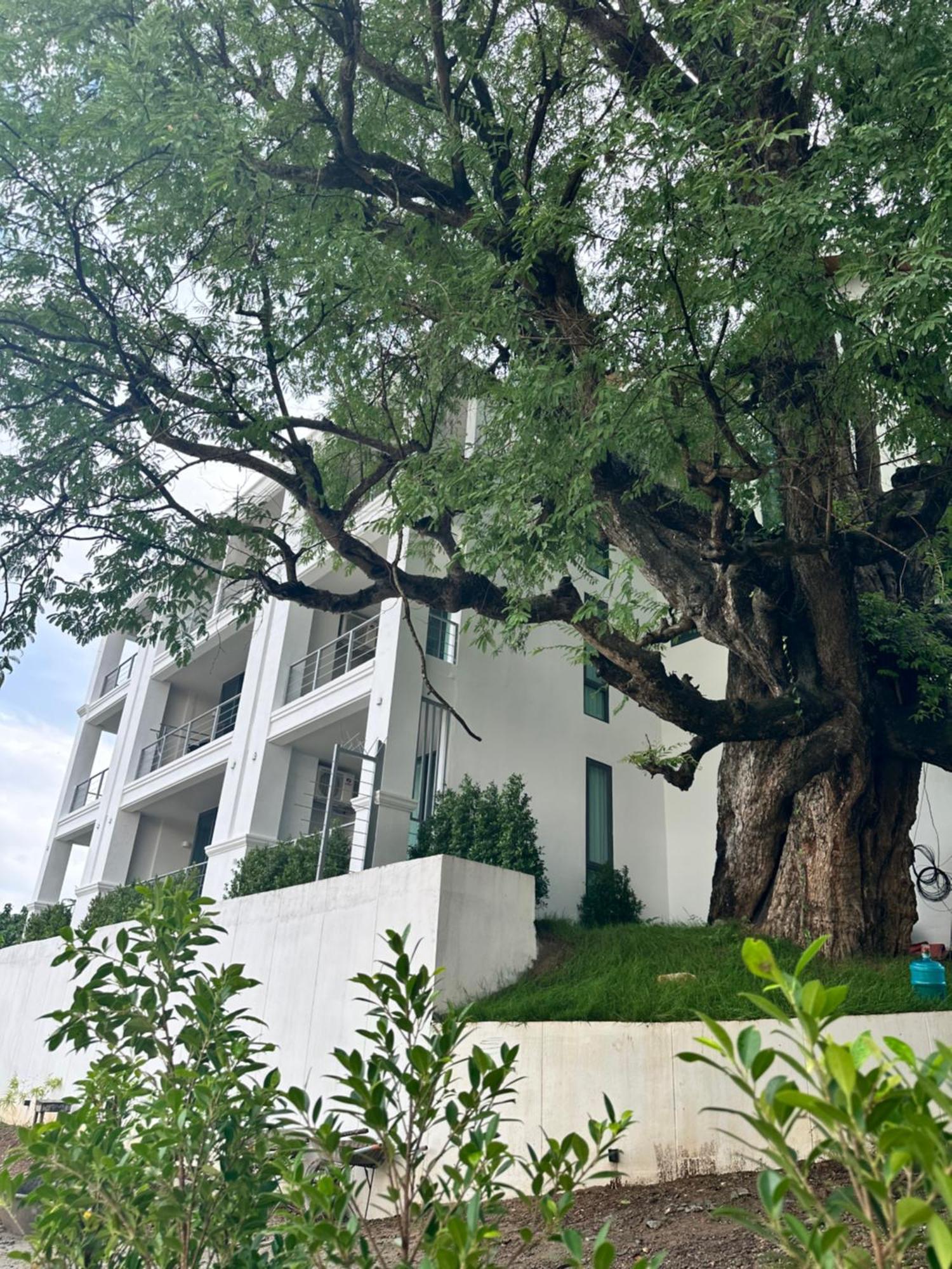 Sokview Residence Luang Prabang Eksteriør billede